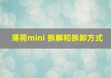 薄荷mini 拆解和拆卸方式